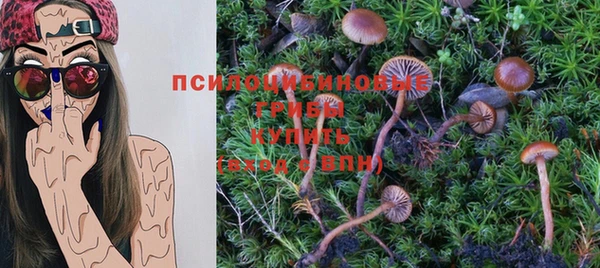 каннабис Сясьстрой